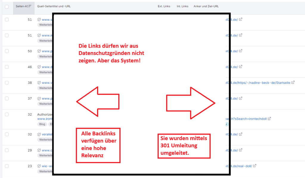 Case Study Magazin Backlinks